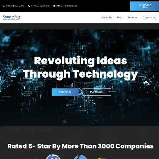 StartupBug
