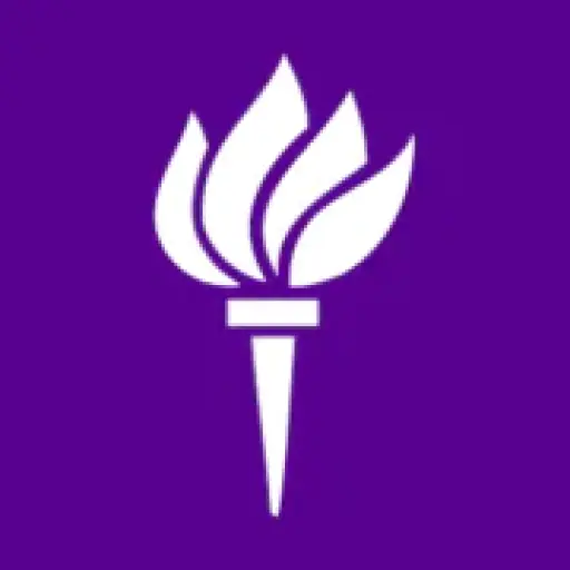 New York University