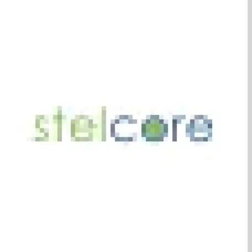 stelcoregroup.com