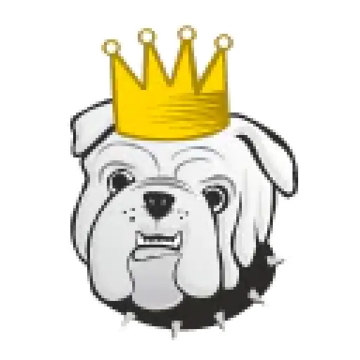 Storage King USA