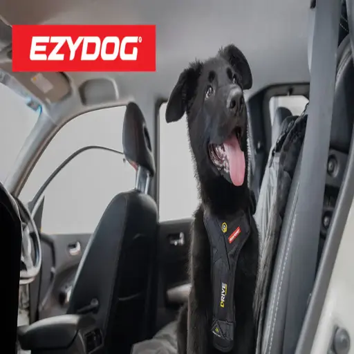 Store Ezydog