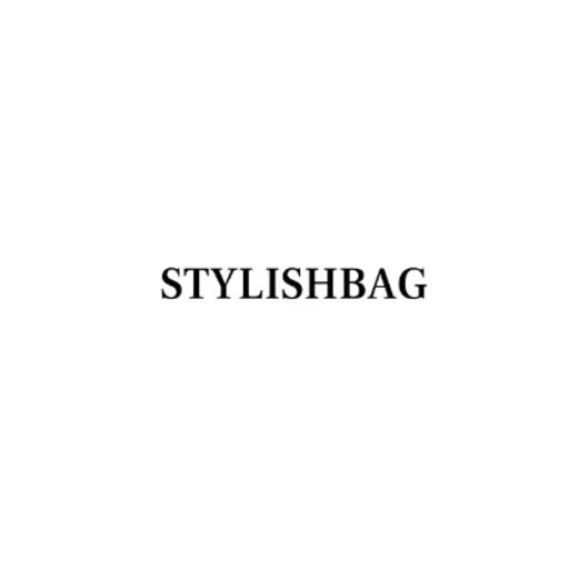stylish bag