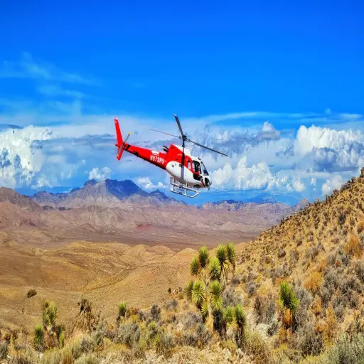 Sundance Helicopters