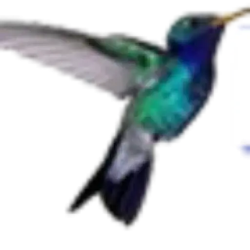 MBSC Accountancy and Consultancy LTD