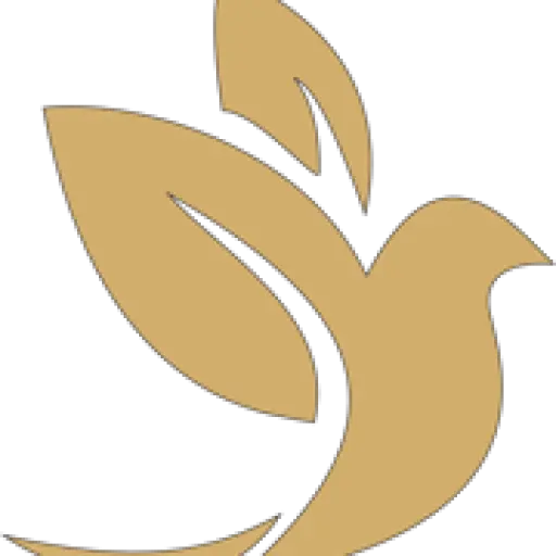 Swift Biz Connect