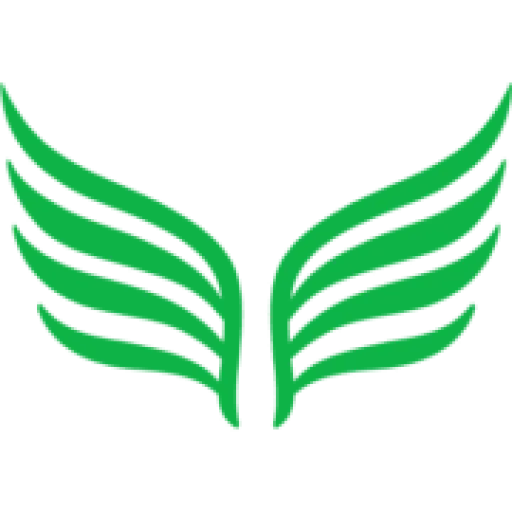 Takeflightlearning
