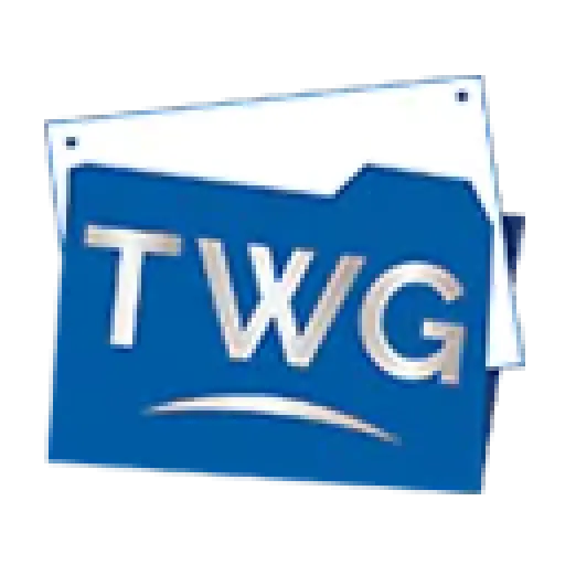 Tax Workout Group