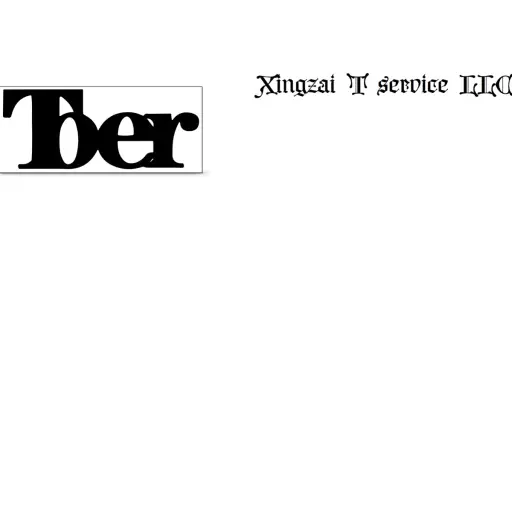 XING ZAI T SERVICE LLC