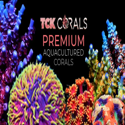 tckcorals.com