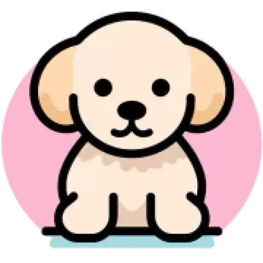 Teacups, Puppies & Boutique