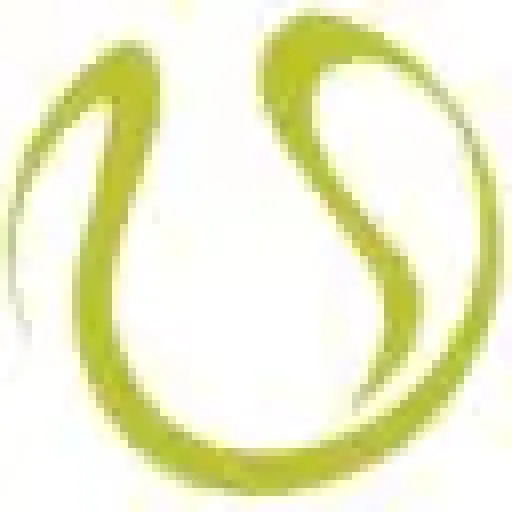 Tennis_Supplies_and_Equipment