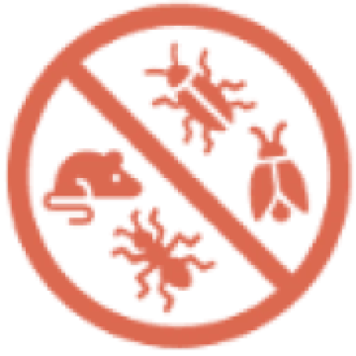 Silicon Beach Termite Removal Experts