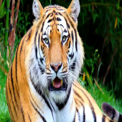 test%3c