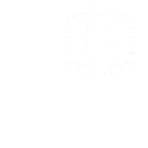 Tfsafari