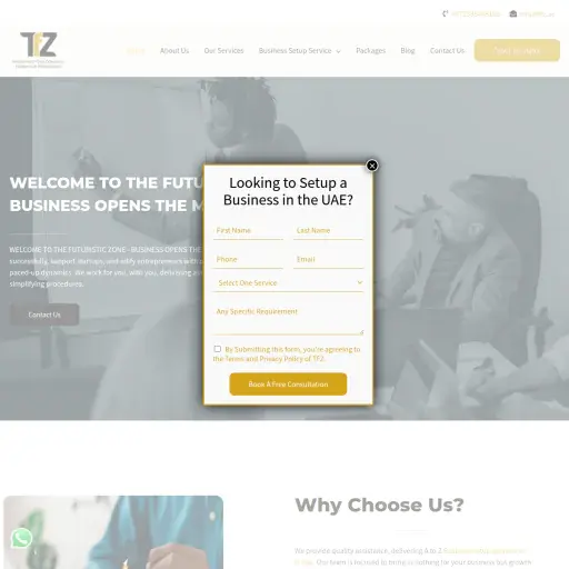 TFZ Business Set Up