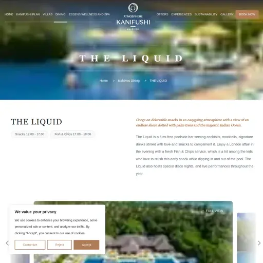 The Liquid