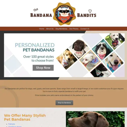 The Bandana Bandits
