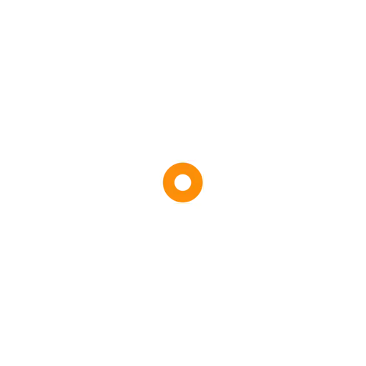 Thebigorangecleaningcompany