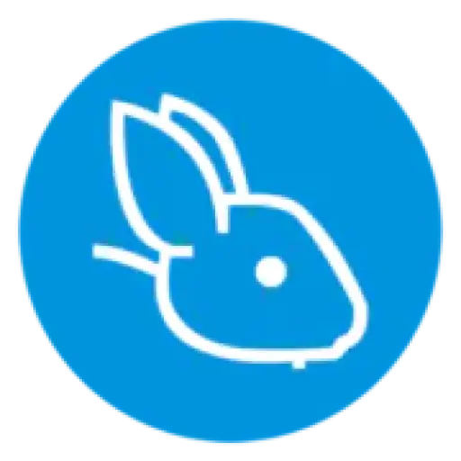 Blue Rabbit - Branding Agency