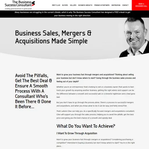 thebusinesssuccessconsultant.com