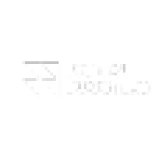 Thedigitalboosters