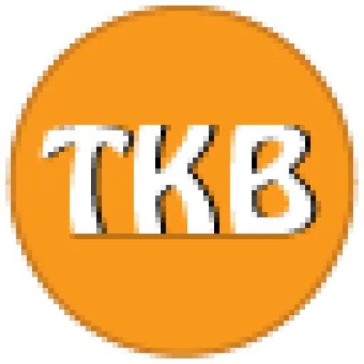 The Kindle Publishing