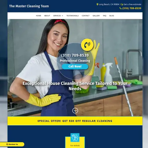 The Master Cleaning Team