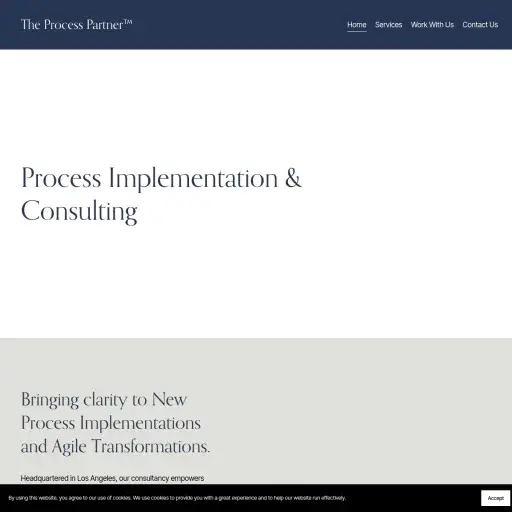 The Process Partner™