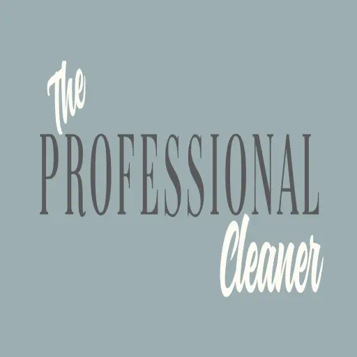 The Professional Cleaner by Bethany Jean