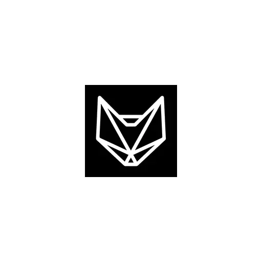 thesaltyfox.com