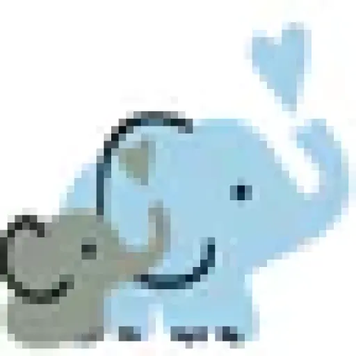 Two Elephants