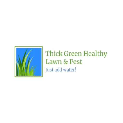 Thick Green Healthy Lawn & Pest