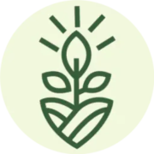 Thrive Medical Billing