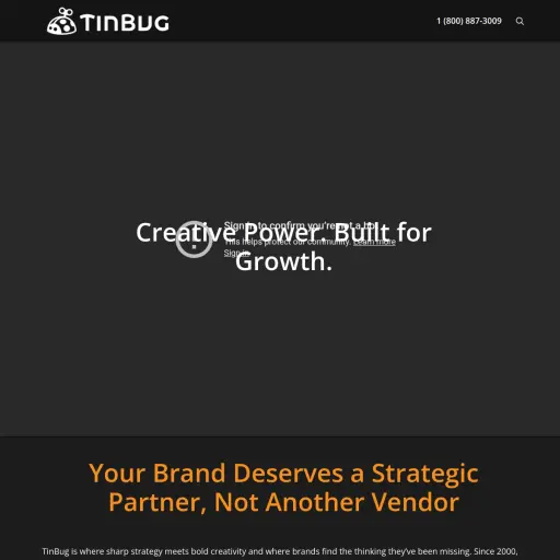 TinBug Design Studios