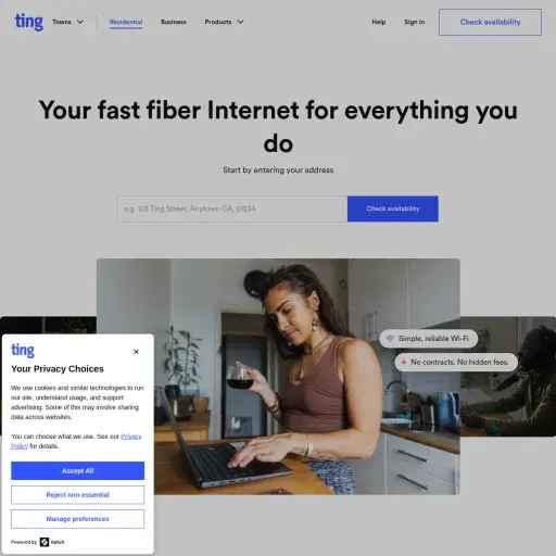 Ting Mobile (by DISH Wireless)