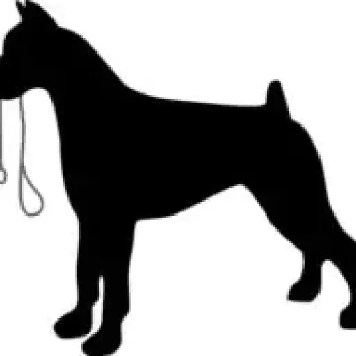 Top Dogs pet services