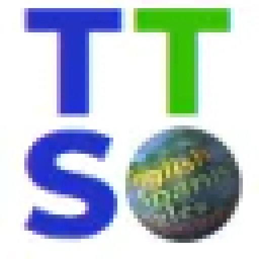 TranslationToSpanish.com