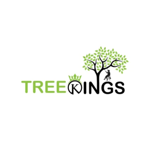 Tree Kings
