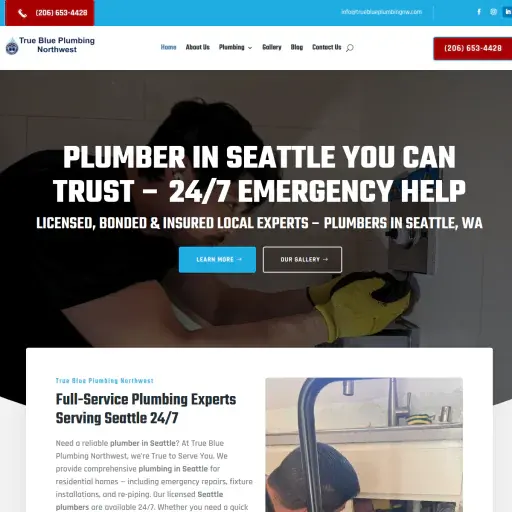 True Blue Plumbing Northwest