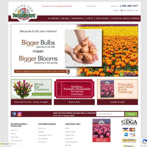 Tulips.com