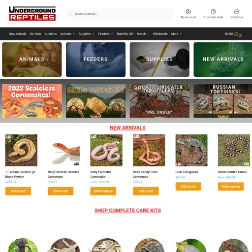 UNDERGROUND REPTILES