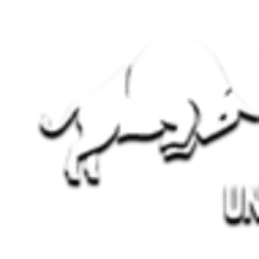 Universalcryptosignals