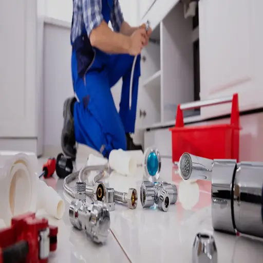 U.S. Plumbing