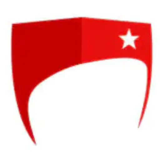 US Tax Shield