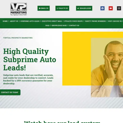 V-P Marketing