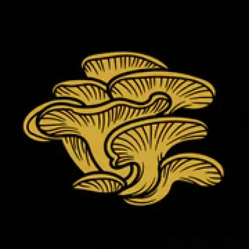 Valley Mushrooms