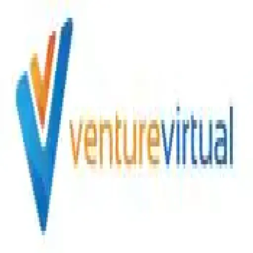 Venture Virtual Ltd