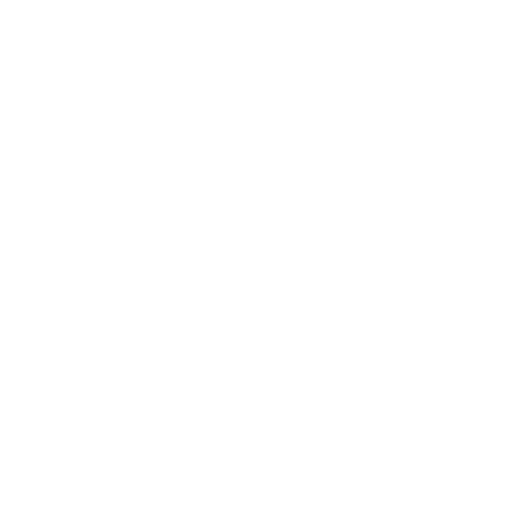 Veritas AI