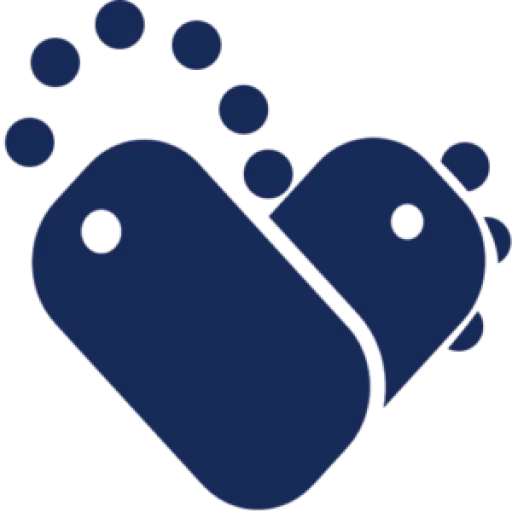 veteranmoversnyc.com