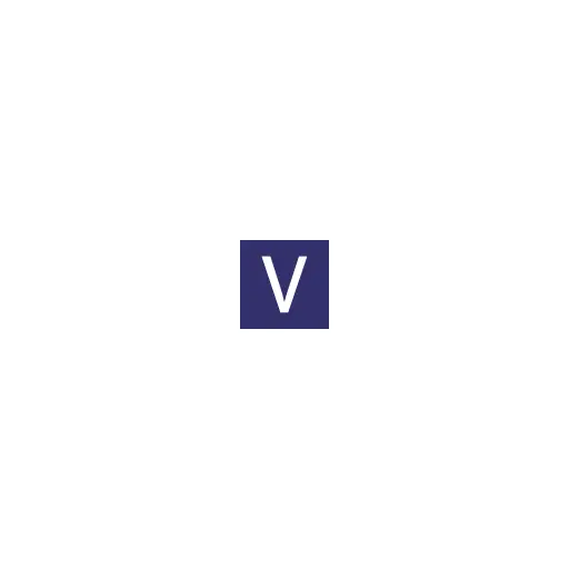 VIBGYOR High